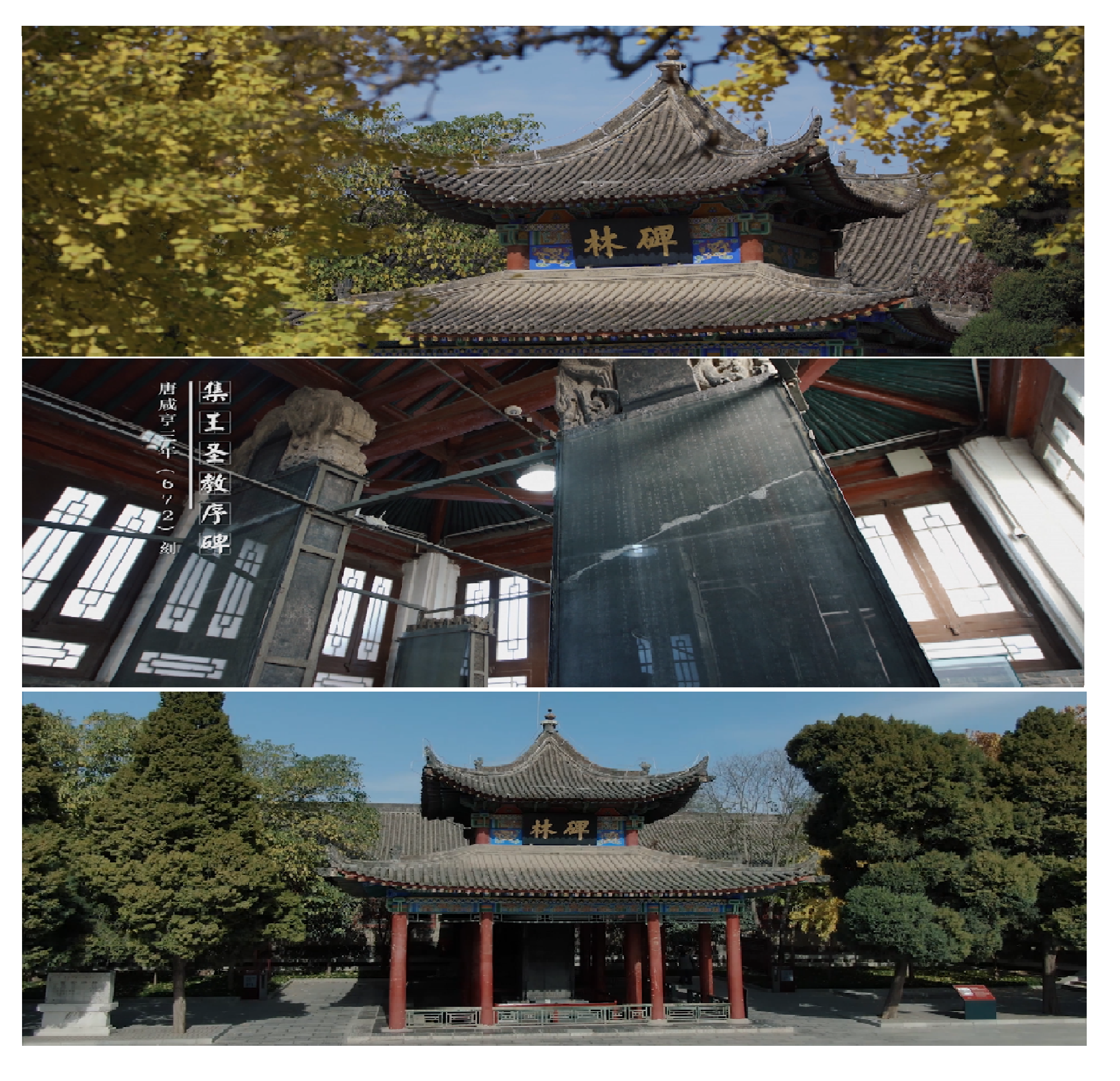 西安碑林博物館改擴(kuò)建紀(jì)錄片拍攝制作及宣傳服務(wù)項目