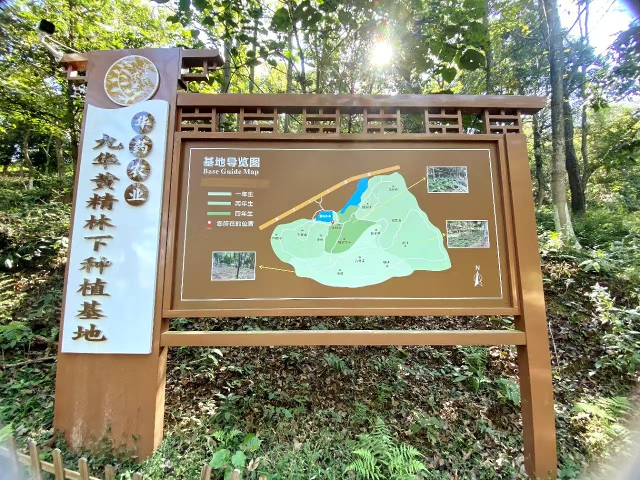 道地優(yōu)質(zhì)原料開(kāi)發(fā)